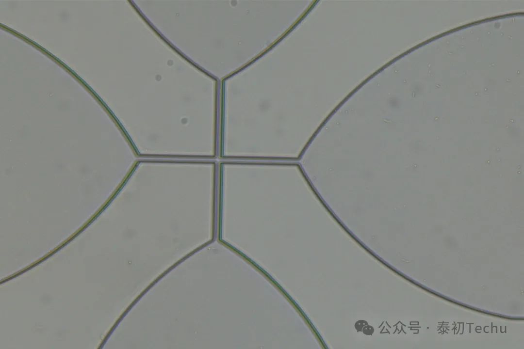 PDMS沟道表面亲水处理办法