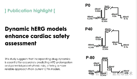 动态hERG模型可增强心脏安全性评估