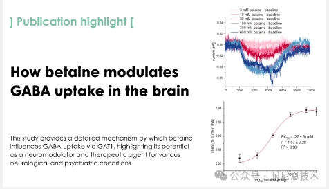 甜菜碱如何调节大脑中GABA的摄取
