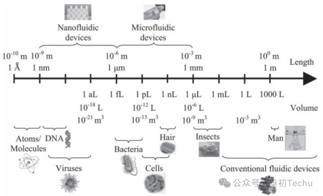 细胞生物学中的哪些方面能更好的理解细胞行为？