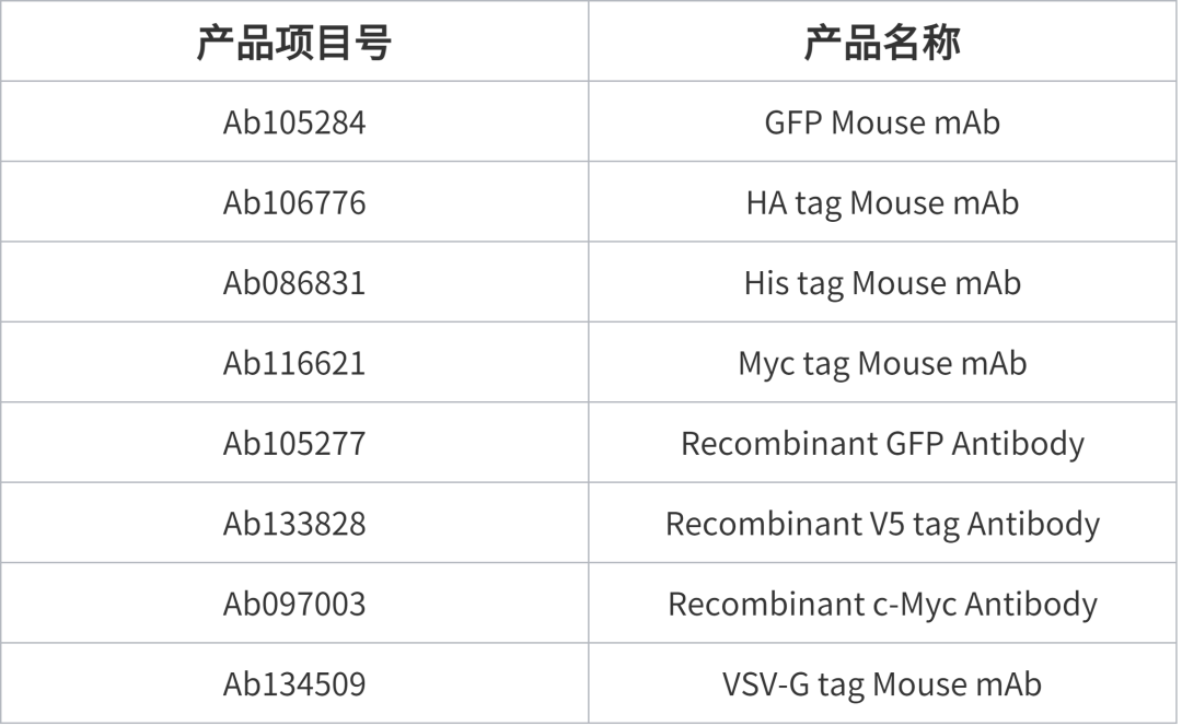 阿拉丁标签抗体——精准科学精灵，开启分子奇迹！