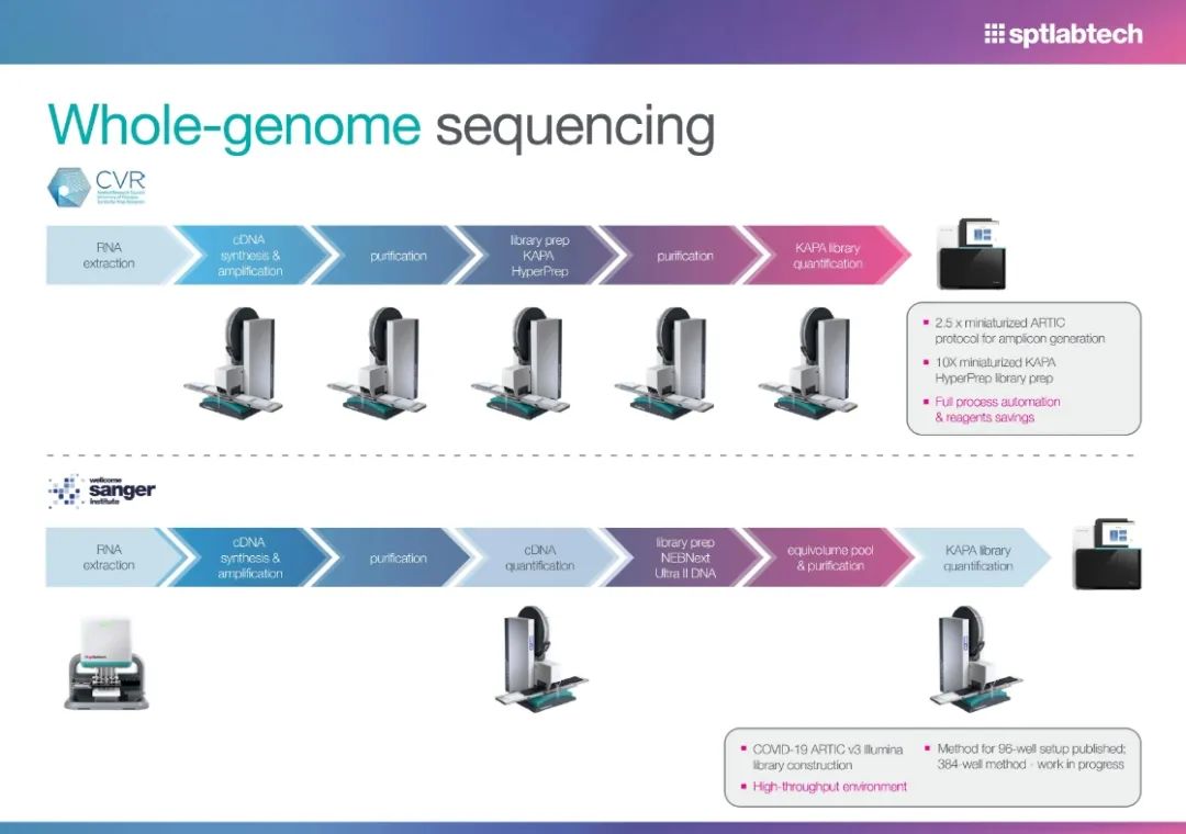 微缩化NGS建库方案40+: SPT高通量384孔建库降本增效全攻略