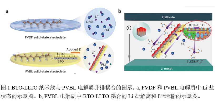 Nature Nanotechnology：一种用于高压固态锂金属电池的具有高锂离子电导率的电解质复合材料