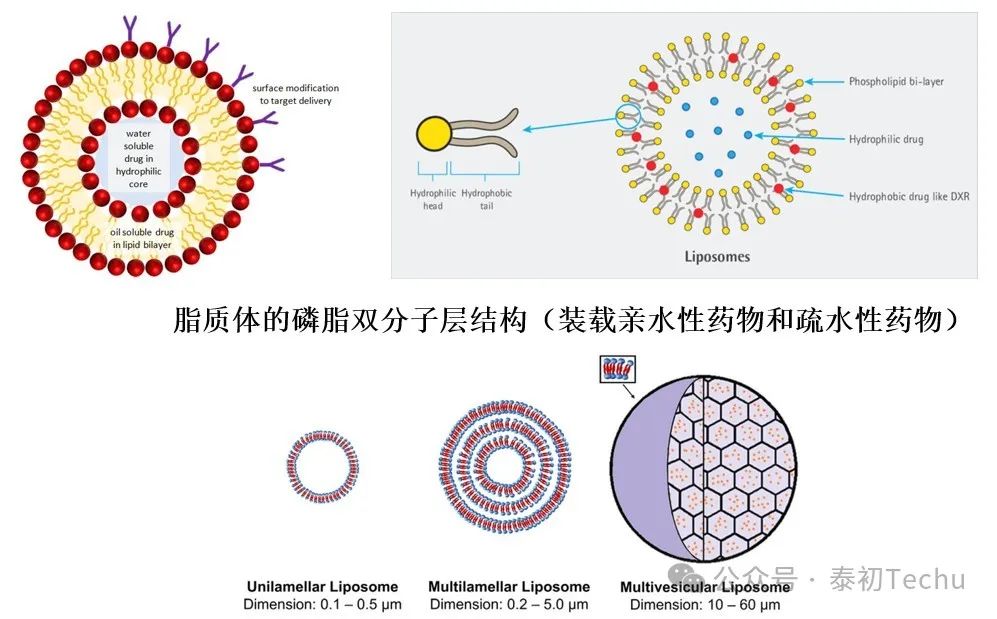 脂质体纳米颗粒合成仪/纳米药物递送系统/mRNA-LNP包封仪 及 高效混合器芯片（经典鱼骨SHM型、流动聚焦型和3D挡板型）