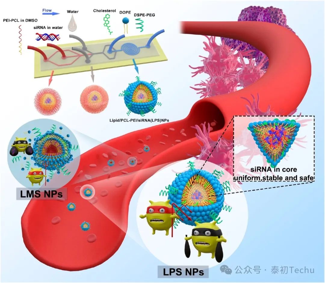 脂质体纳米颗粒合成仪/纳米药物递送系统/mRNA-LNP包封仪 及 高效混合器芯片（经典鱼骨SHM型、流动聚焦型和3D挡板型）