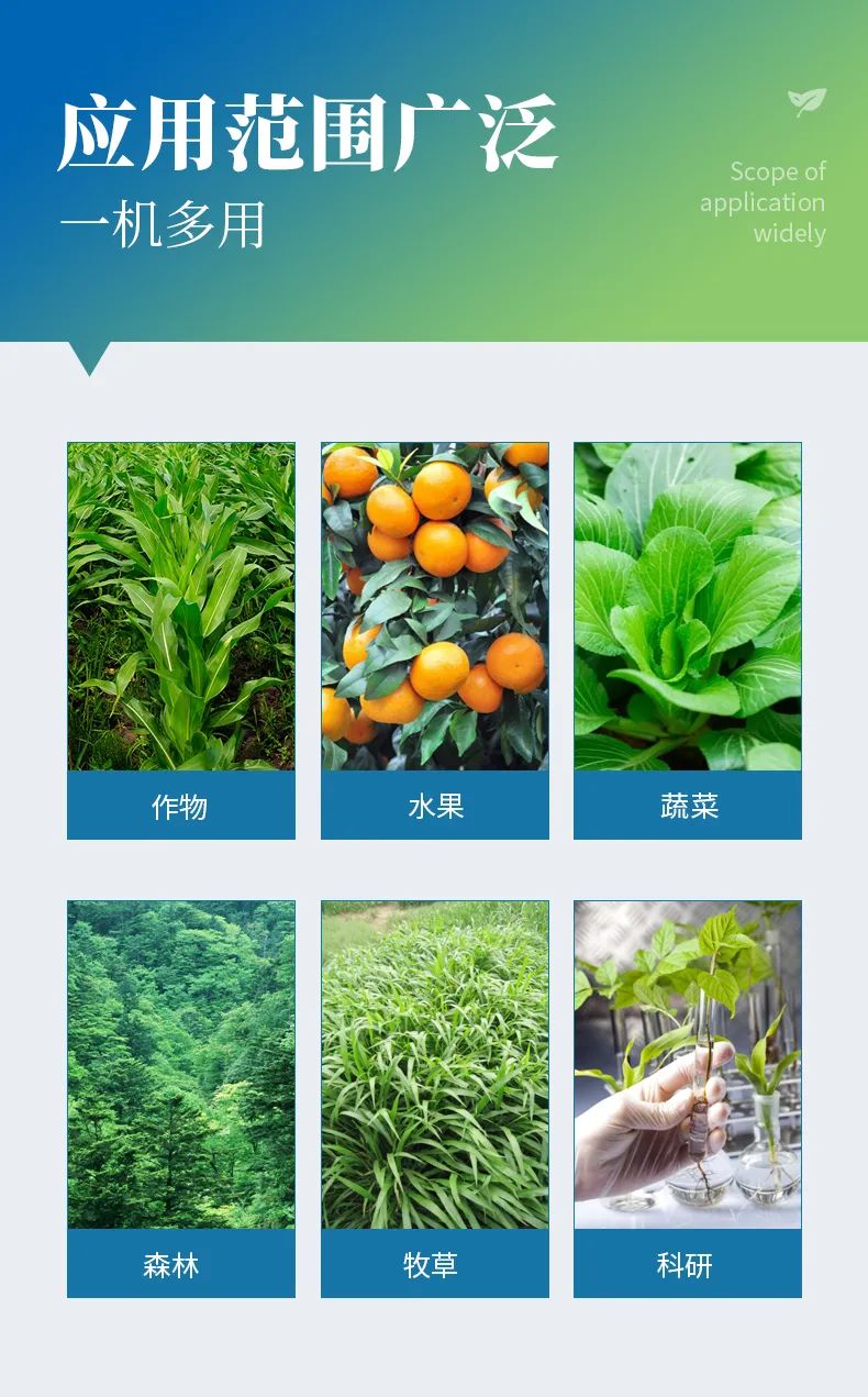 光合作用测定仪有效评估植物健康状况