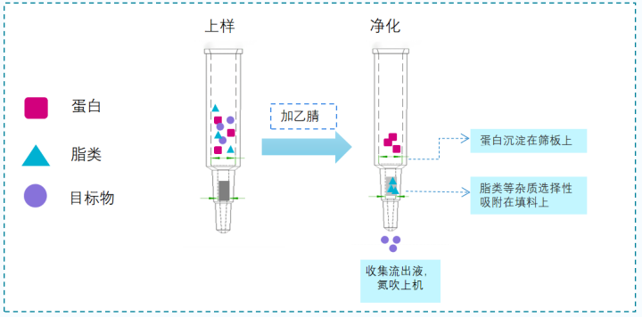 更简单、更高效！血清中17种全氟化合物的LC-MS/MS检测方法……