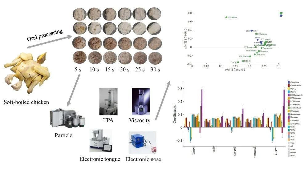 南京农业大学研发团队揭示白切鸡在口腔加工过程中感官指标变化规律