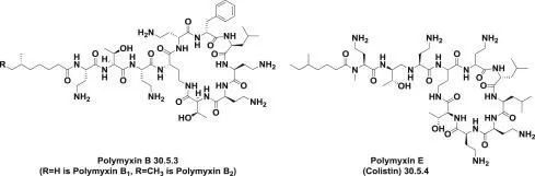 多黏菌素：从淘汰到回归，抗耐药菌