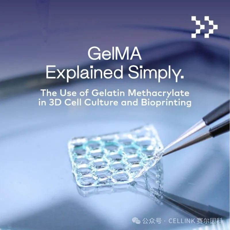 GelMA：组织工程与3D细胞培养的首选材料