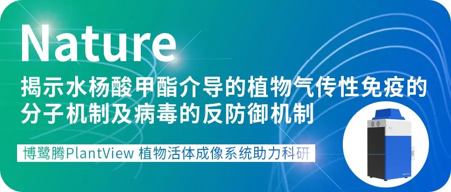 【展会相邀】中国植物生理与植物分子生物学学会2024年全国学术年会