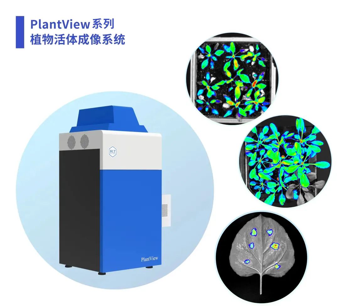 【展会回顾】博鹭腾在 CSPB 2024 的精彩瞬间