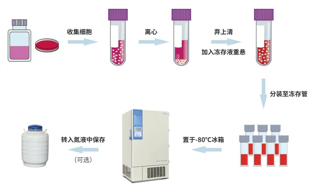 【新品限量免费试用】无血清细胞冻存液，解锁科研新速度~