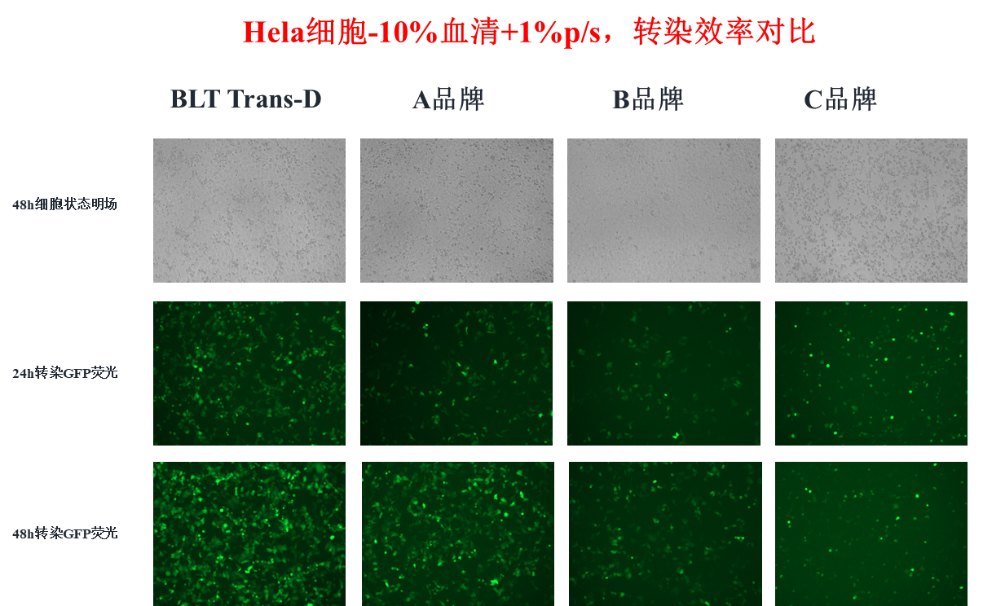 新品免费试用！Trans-D细胞转染试剂来啦~