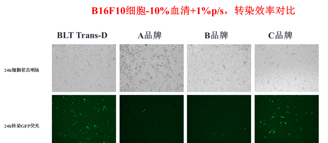 新品免费试用！Trans-D细胞转染试剂来啦~