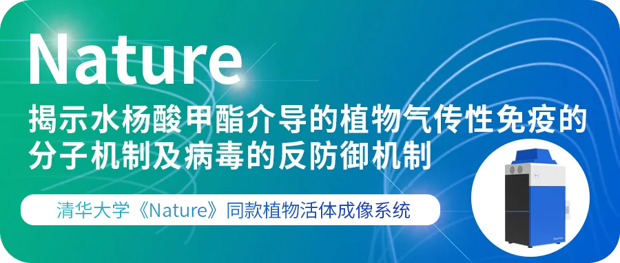 【展会回顾】博鹭腾在 CSPB 2024 的精彩瞬间